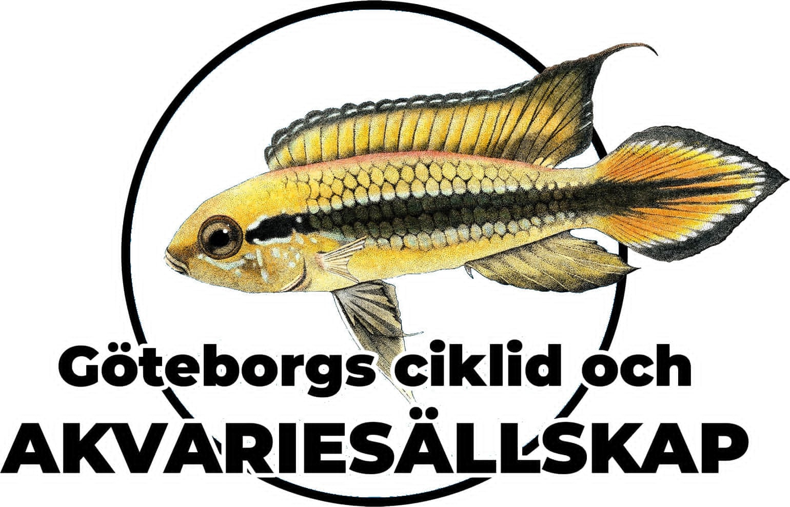 Göteborgs Ciklid- och Akvariesällskap