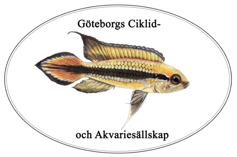 Göteborgs Ciklid- och Akvariesällskap